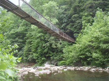 Swinging Bridge