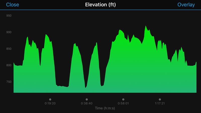 VC6.2 elevation