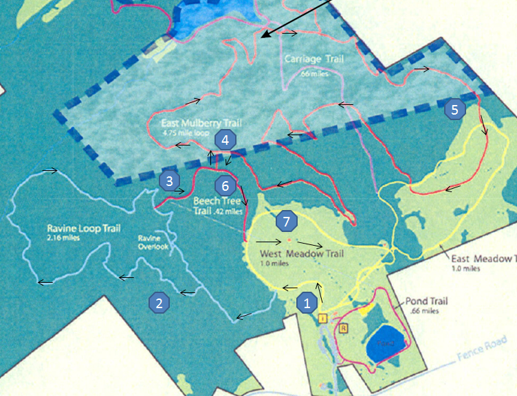 Little Mulberry Route