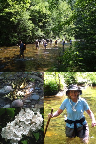 Conasauga River