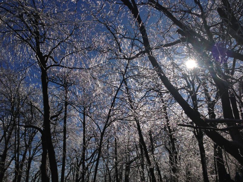 winter wonderland near the Hike Inn