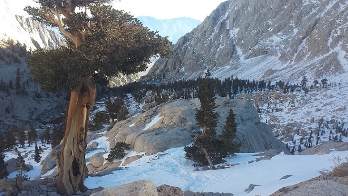 Mt Whitney Trail