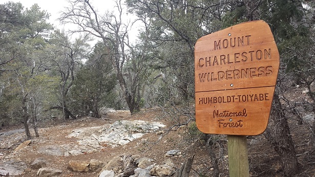 Charleston Peak