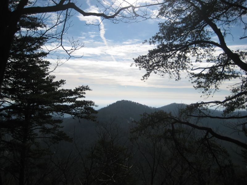 Freeman Gap Trail view