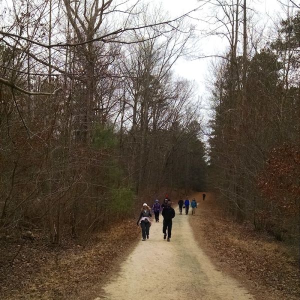 Group of 
Hikers on a Wide Trail near Cheatham Hill