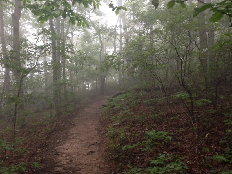 Hike In Trail