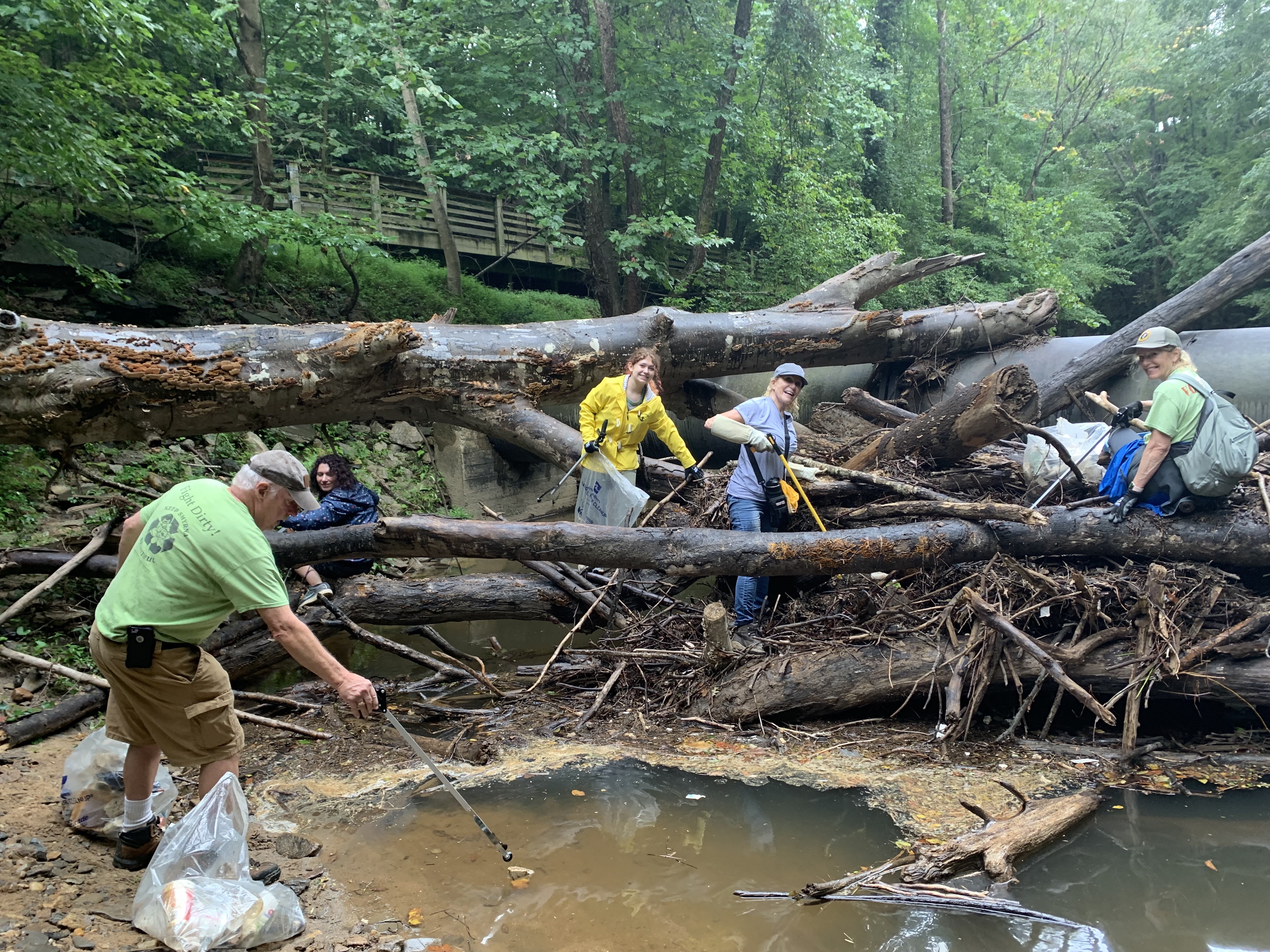 group on logs