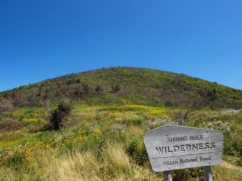 Shining Rock Wilderness - Pisgah National Forest