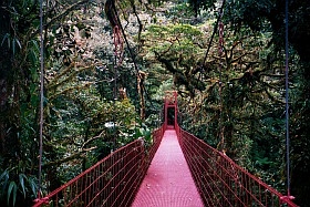 Monteverde Cloud Forest