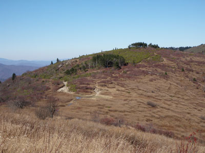 Art Lobe Trail