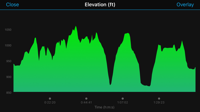 VC6.2 elevation