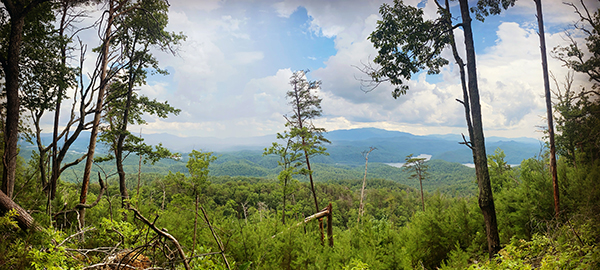 BentonFalls Loop