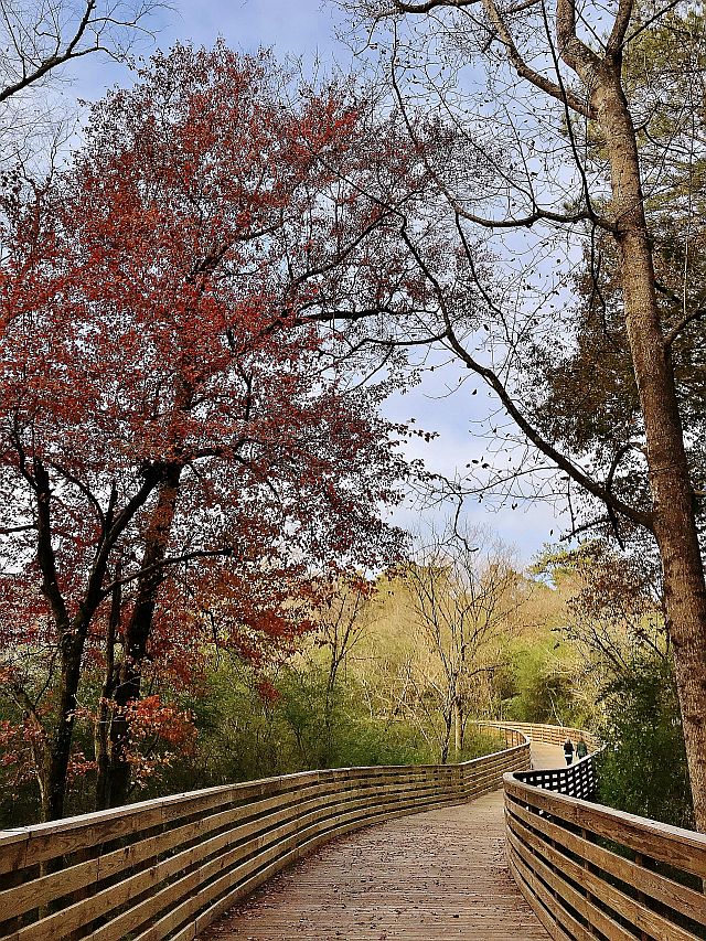 South Peachtree Creek 
Trail 1