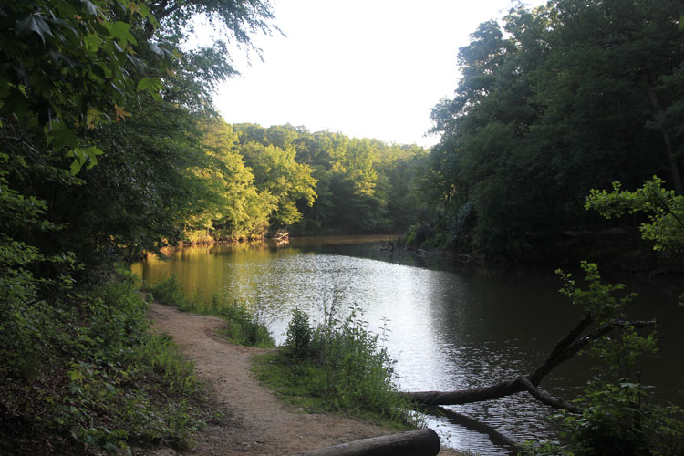 Trail Along Sweetwater Creek