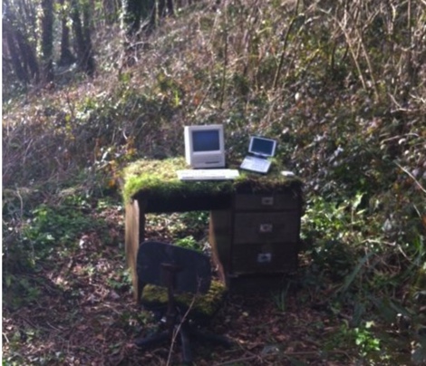 computer in the woods